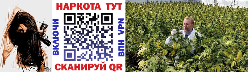 Хочу наркоту Саранск Марихуана  Alpha-PVP  Псилоцибиновые грибы  Меф мяу мяу  Кокаин  ГАШИШ 