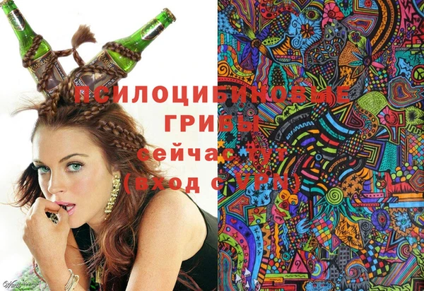 прущий лед Горняк