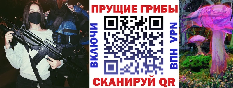 kraken вход  Саранск  Псилоцибиновые грибы Psilocybe 